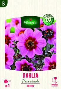 Dahlia Fleur Simple Wink (x1)